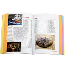 Load image into Gallery viewer, FALSE