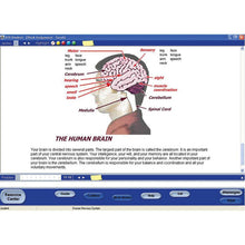 Load image into Gallery viewer, Switched-On Schoolhouse Grade 4