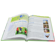 Load image into Gallery viewer, FALSE