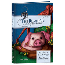 Load image into Gallery viewer, FALSE