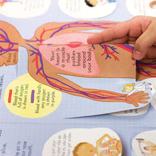 Load image into Gallery viewer, FALSE