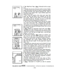 Load image into Gallery viewer, Picture-Smart Bible Level 2 CD
