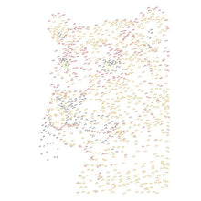 Load image into Gallery viewer, Ultimate Dot-to-Dot Animals
